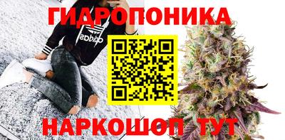 стаф Ливны