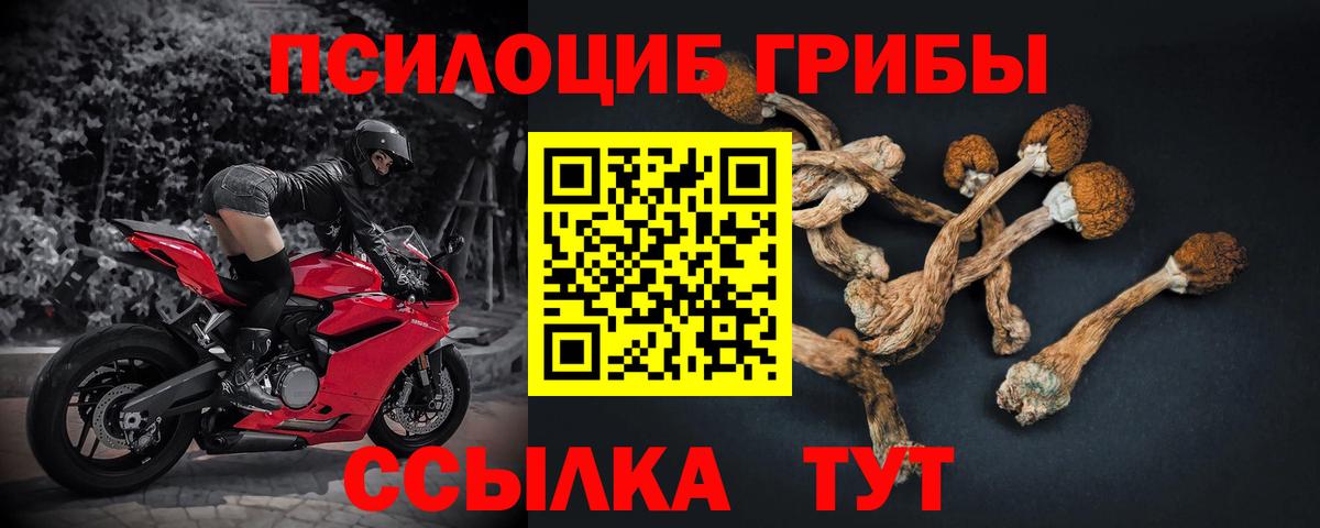 Псилоцибиновые грибы прущие грибы  Вход с VPN  Ефремов 