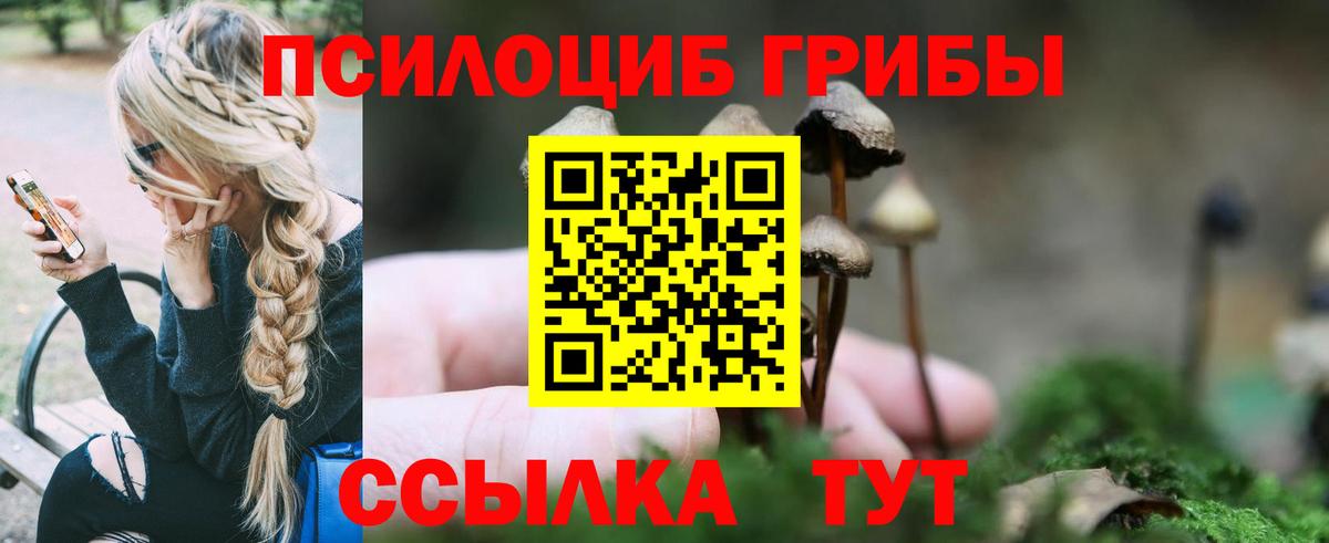 Псилоцибиновые грибы прущие грибы Ефремов