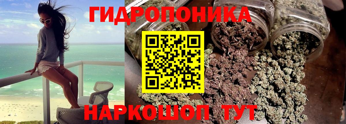 APVP Ефремов